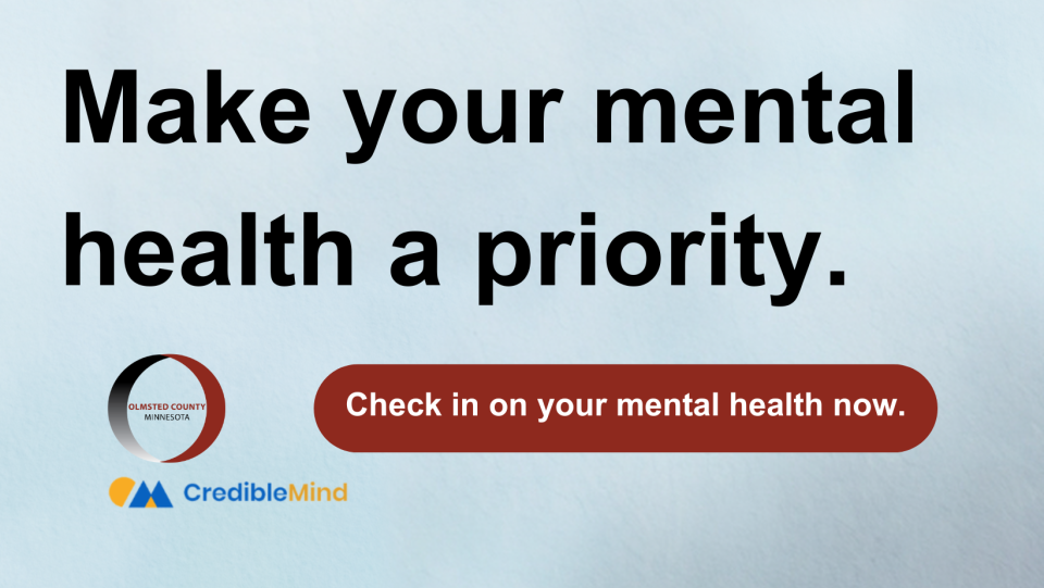Make your mental health a priority. Check in on your mental health now.