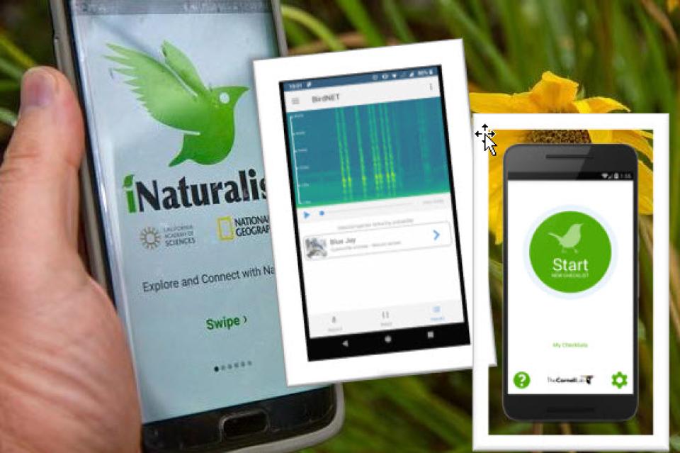 Various Bird and Nature Apps
