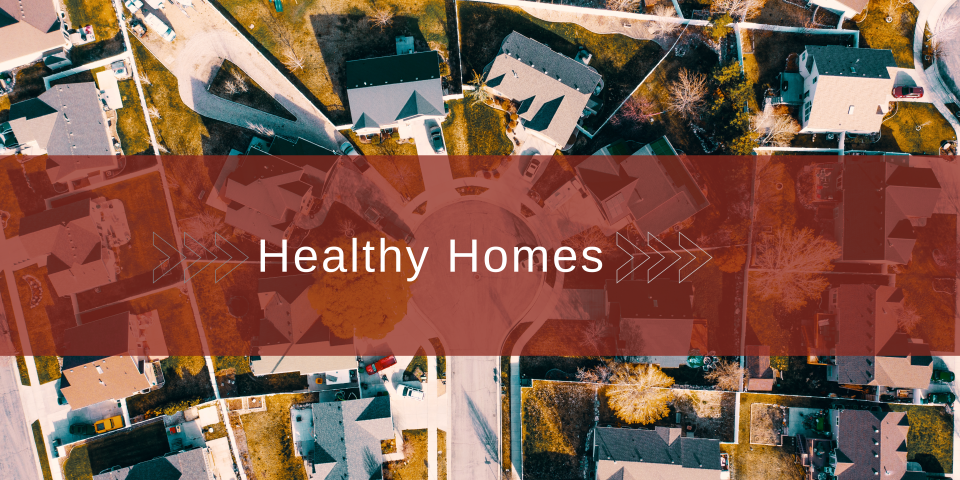 Healthy Homes