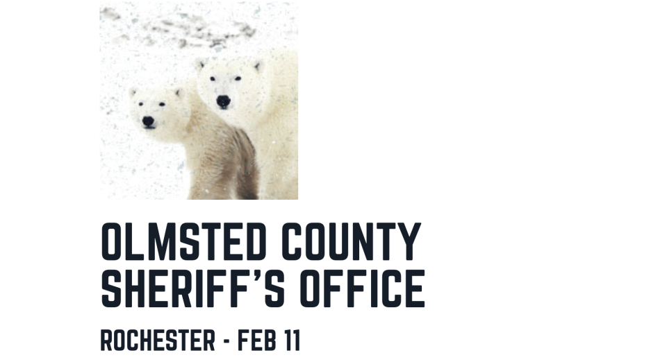 Polar Bear - Location: Rochester - Event Date: Feb. 11