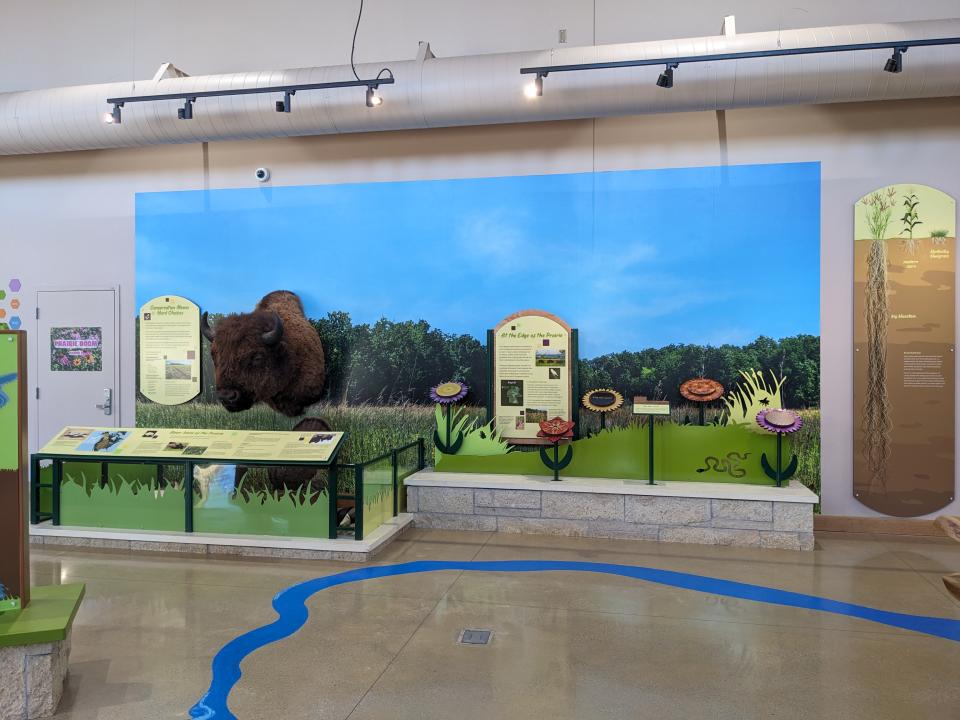 Nature Center bison and prairie exhibit