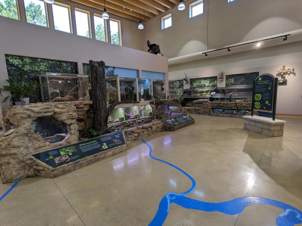 Nature Center Exhibits Animal Area