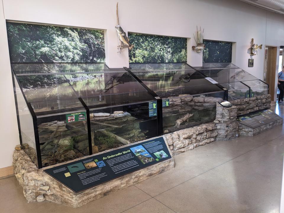 Nature Center fish turtle amphibian exhibits