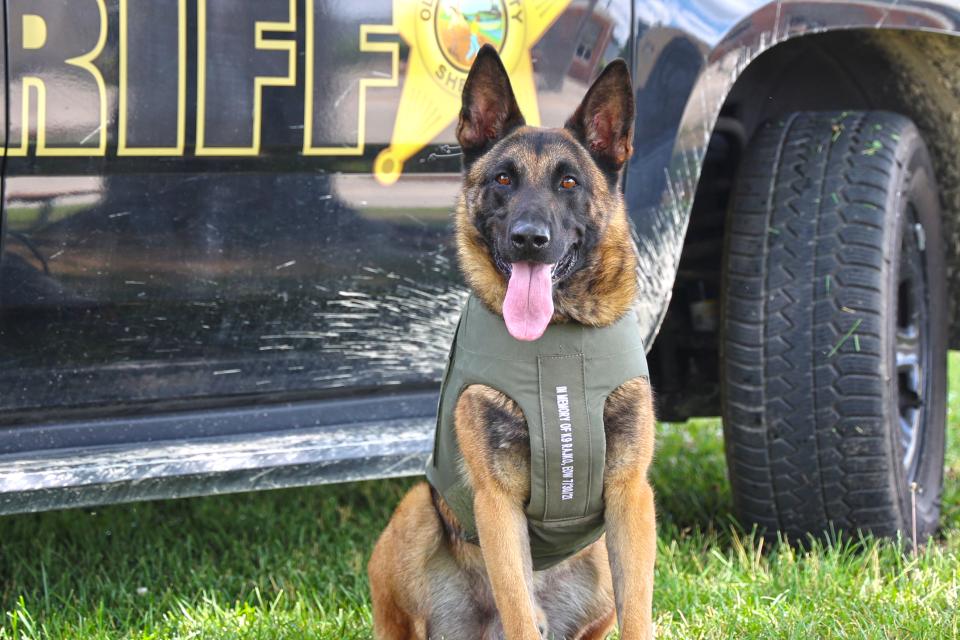 K9 Ranger stands next to squad