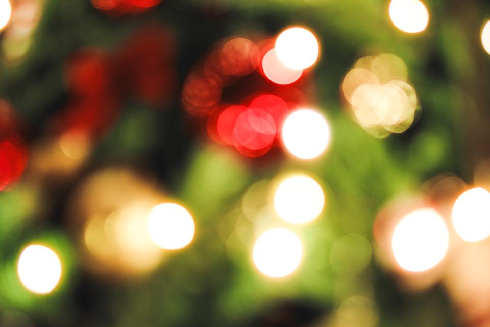 Holiday Lights on Tree